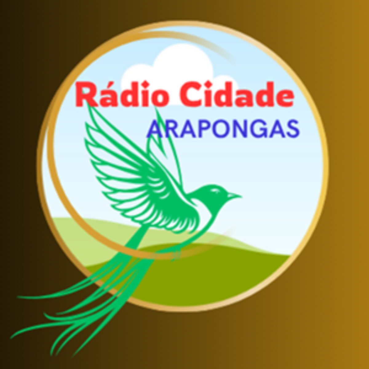 Rádio Cidade    Arapongas